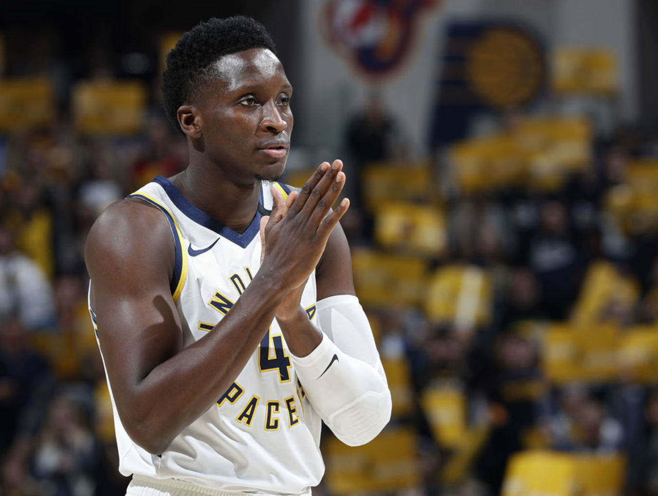 雪运动领域 雪运动领域