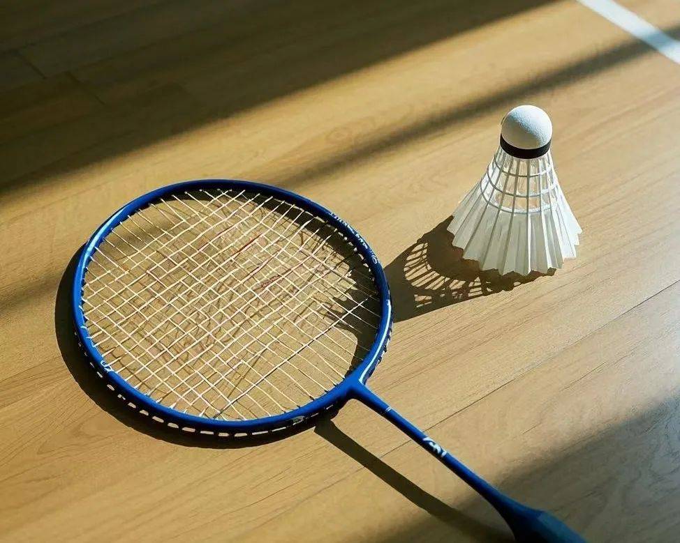 能会等到赛 能会等到赛