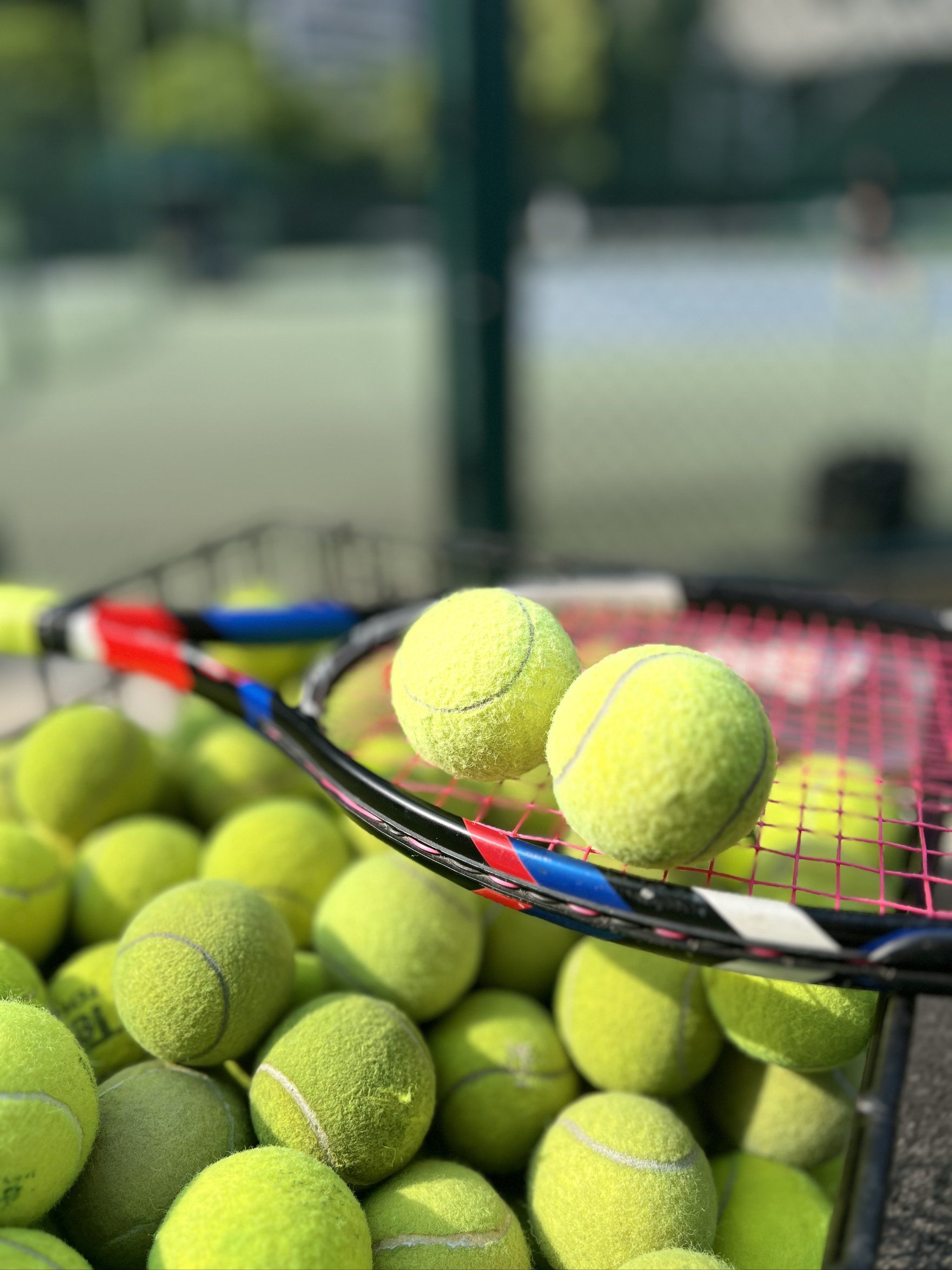 再以月刃接 再以月刃接